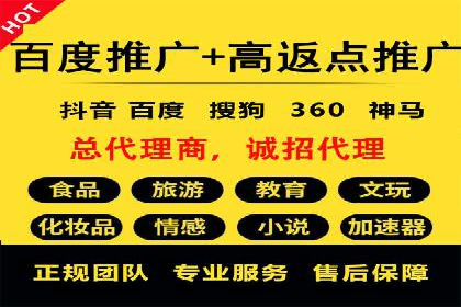 百度竞价广告投放案例剖析